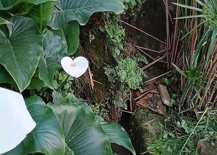 Sud De France, Lieu Calme & Nature *
