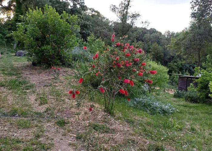 Гостевой дом Sud De France, Lieu Calme & Nature